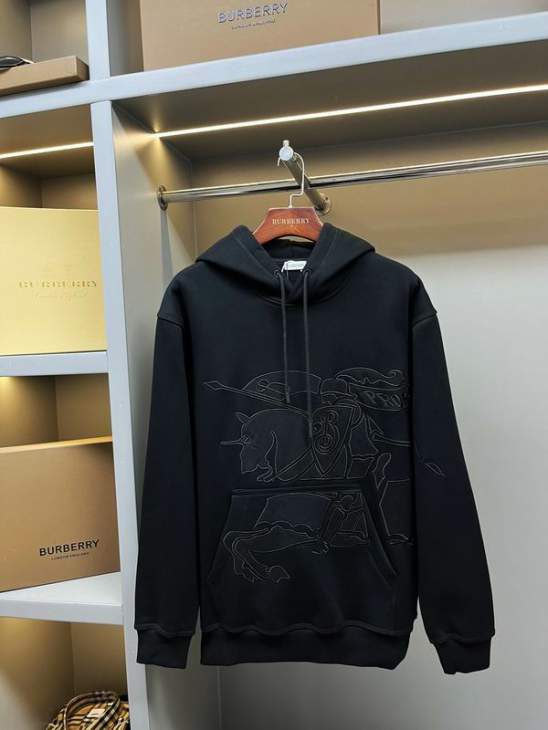 Picture of Burberry Hoodies _SKUBurberryS-2XLaztx89291858